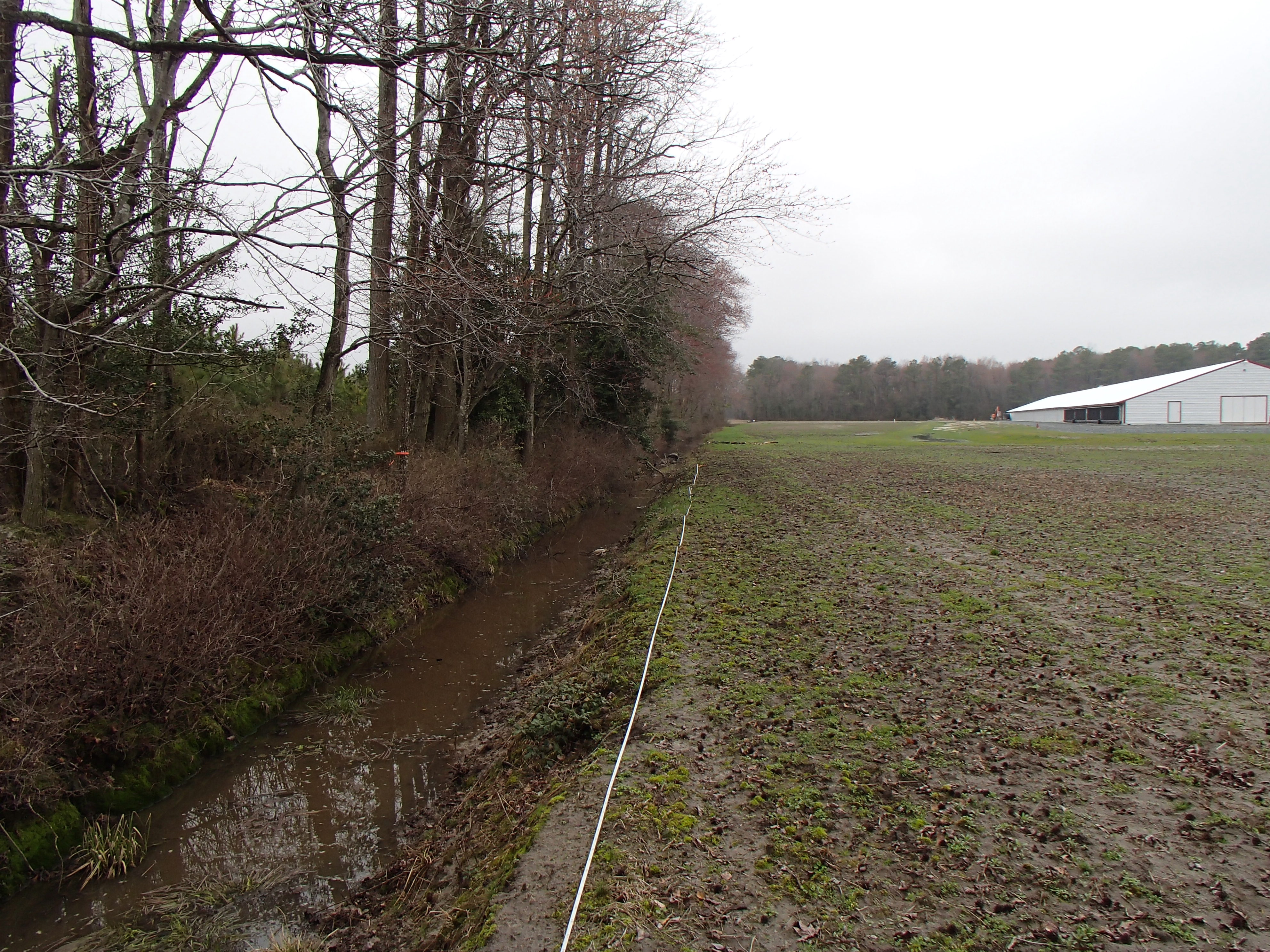 Field photo showing stream conditions at site NANT-104-R-2016_midpoint looking upstream